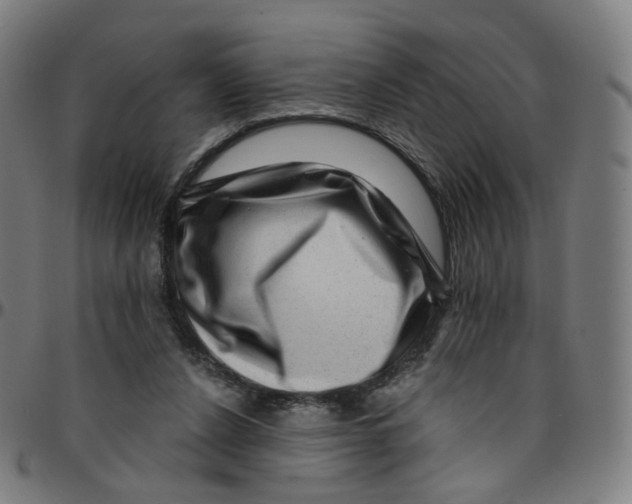 X0000095130256200801041253