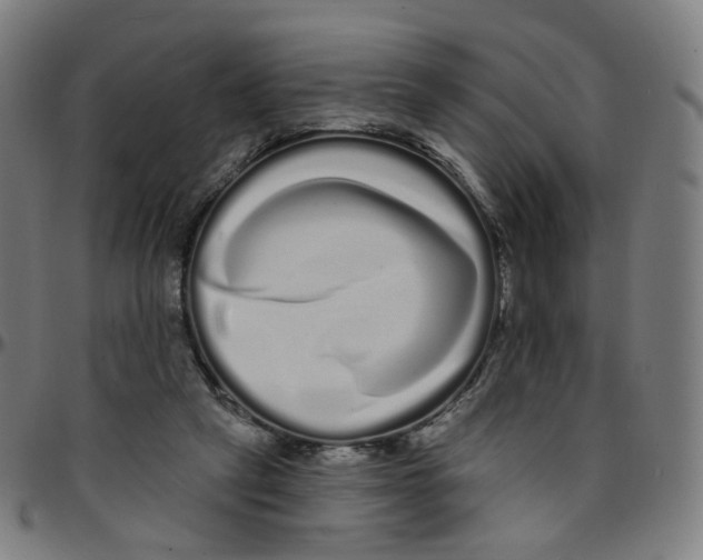 X0000095130257200801041253