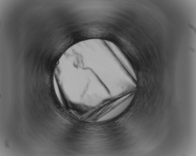 X0000095130258200801041253