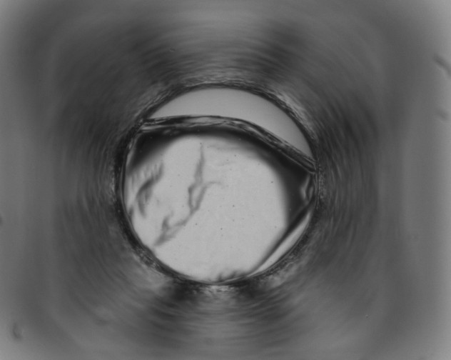 X0000095130261200801041253