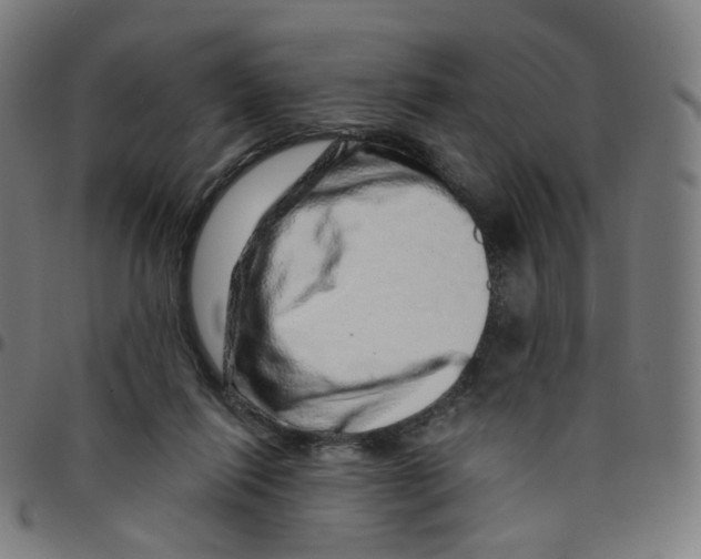 X0000095130262200801041253