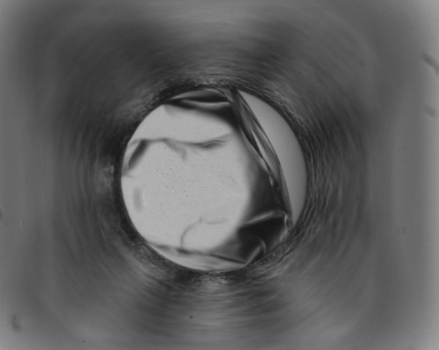 X0000095130263200801041253