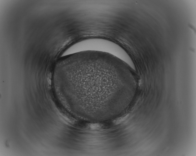 X0000095130264200801041253