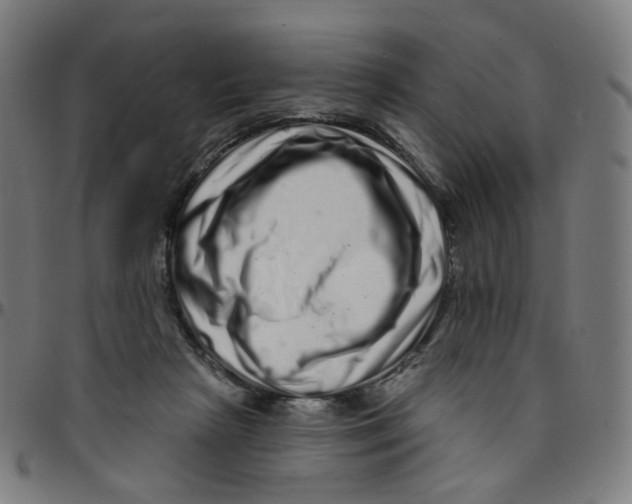 X0000095130265200801041253