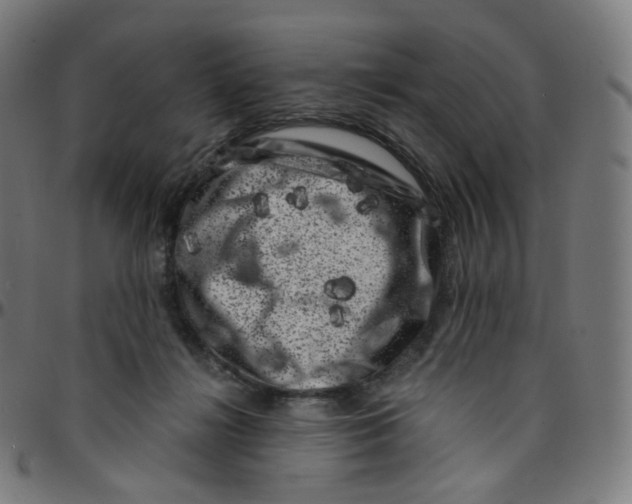 X0000095130268200801041254