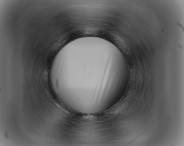 X0000095130269200801041254