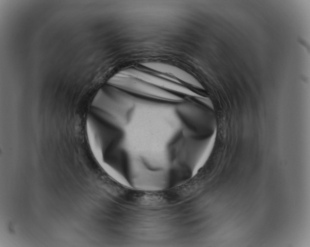 X0000095130270200801041254