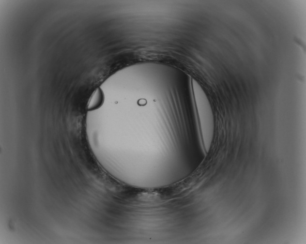 X0000095130271200801041254