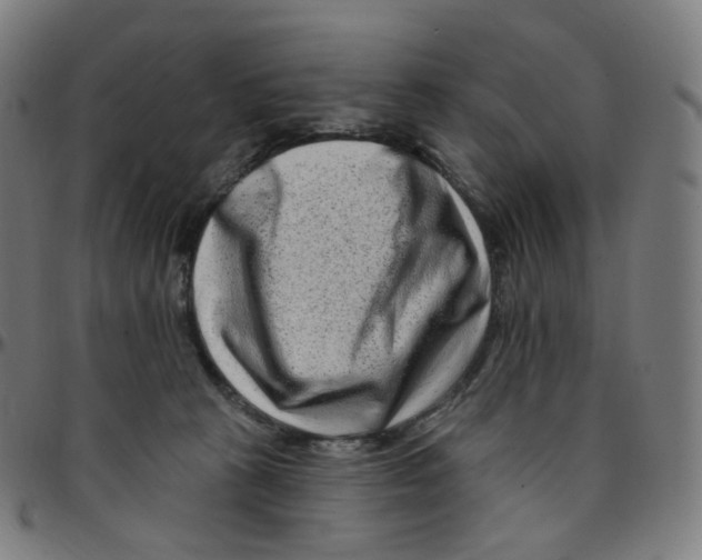 X0000095130273200801041254