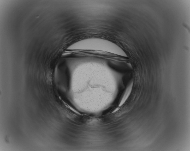 X0000095130274200801041254