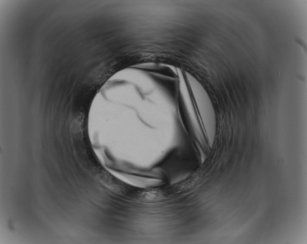 X0000095130275200801041254