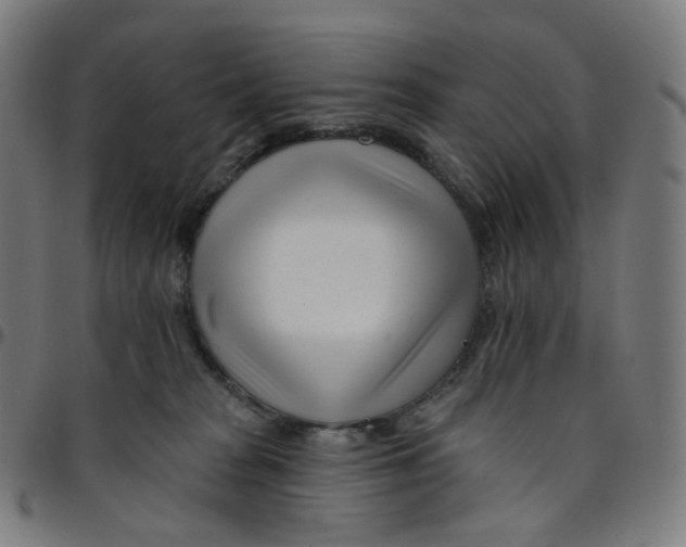 X0000095130277200801041254