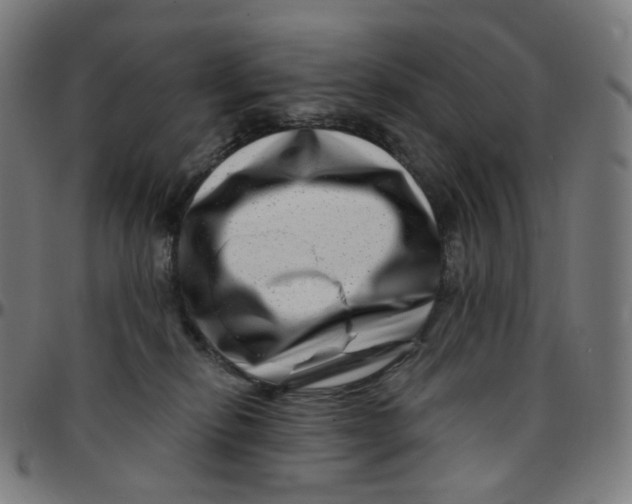 X0000095130278200801041254