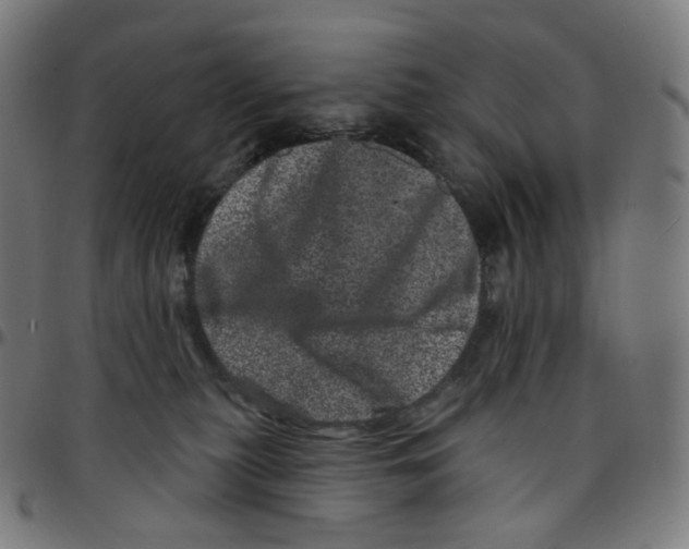 X0000095130279200801041254