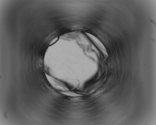 X0000095130281200801041254