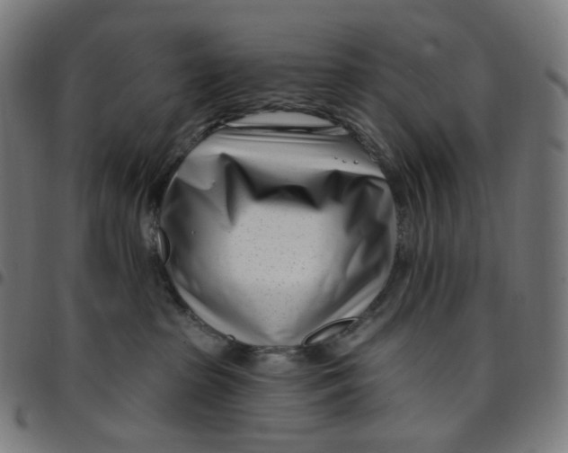 X0000095130285200801041254