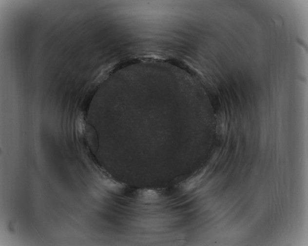 X0000095130287200801041254