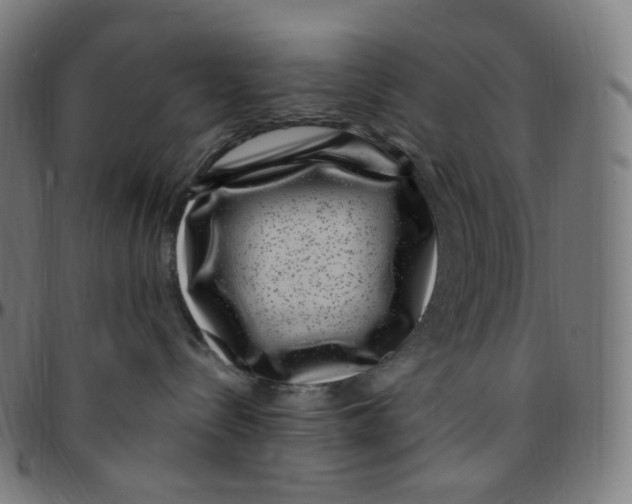 X0000095130288200801041254