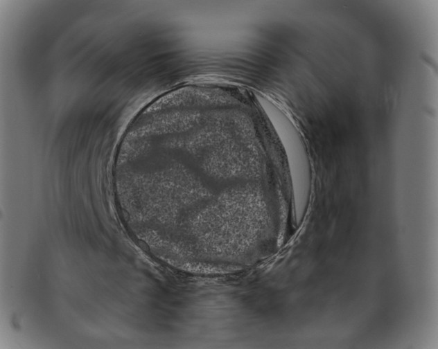 X0000095130289200801041253