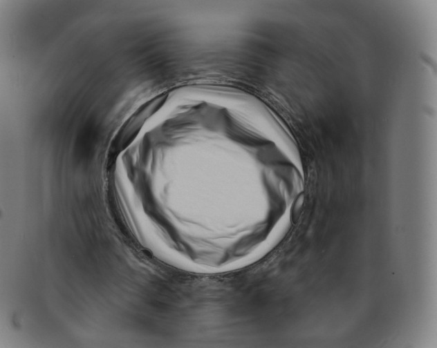 X0000095130290200801041253