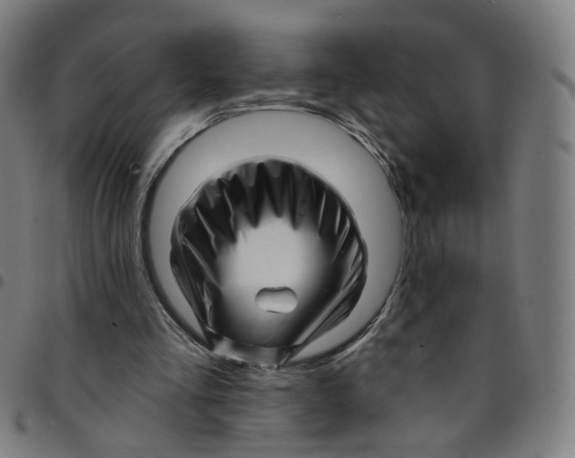 X0000095130293200801041253