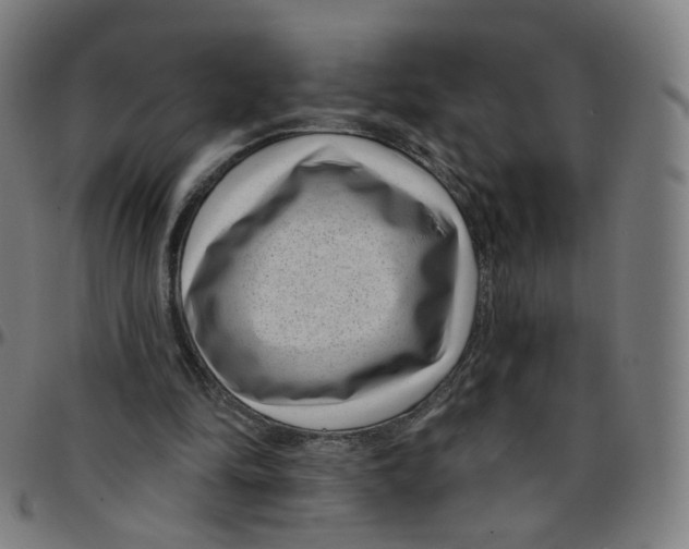 X0000095130294200801041253