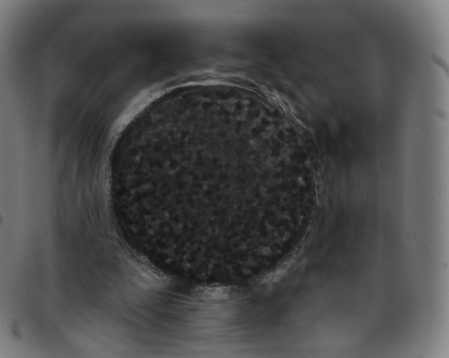 X0000095130295200801041253