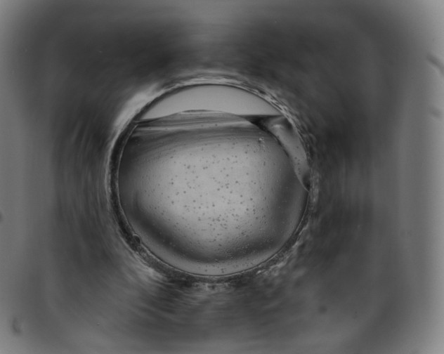 X0000095130296200801041253