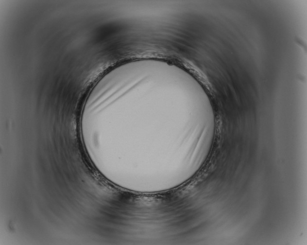 X0000095130298200801041253