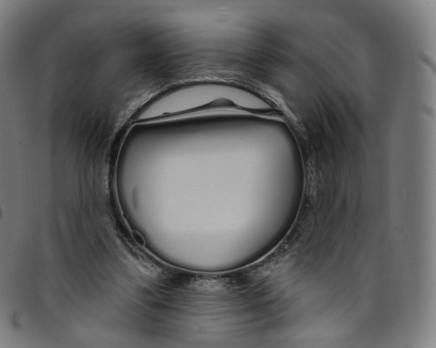 X0000095130299200801041253