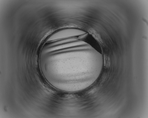 X0000095130300200801041253