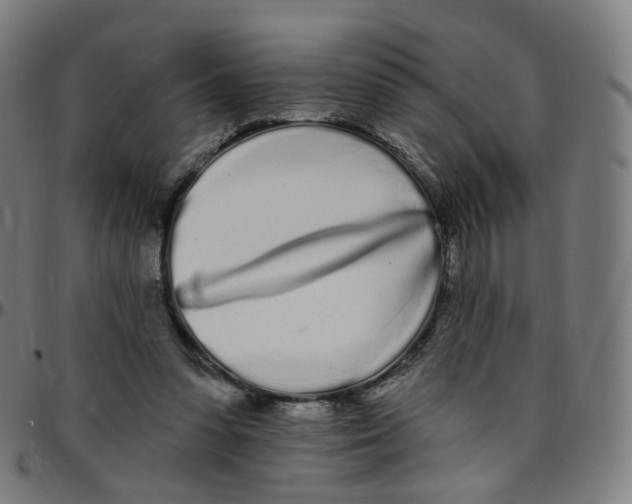 X0000095130303200801041253