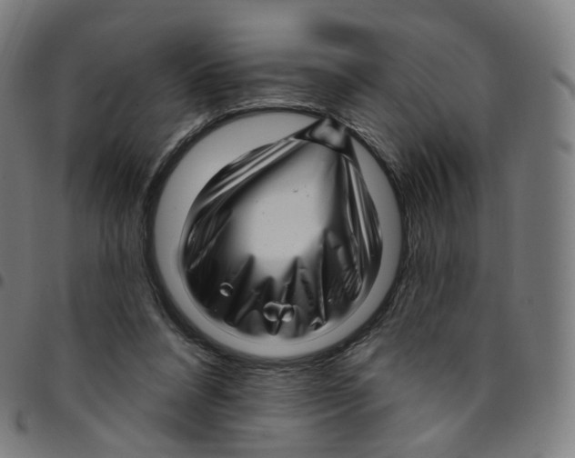 X0000095130304200801041253