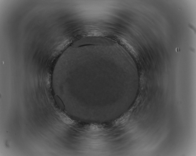 X0000095130305200801041253