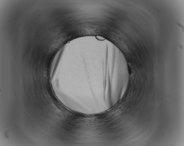 X0000095130306200801041253