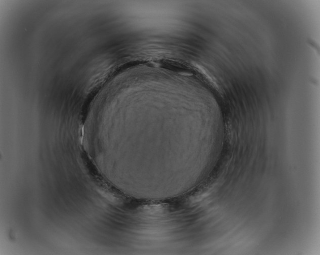 X0000095130307200801041253