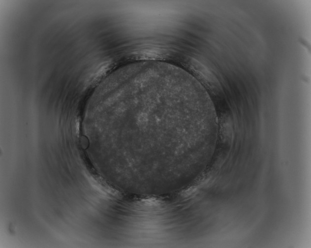 X0000095130310200801041253