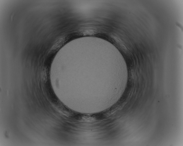 X0000095130311200801041253