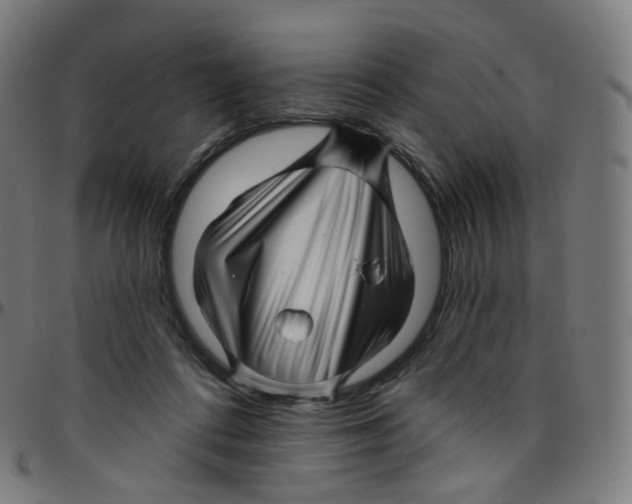 X0000095130312200801041253