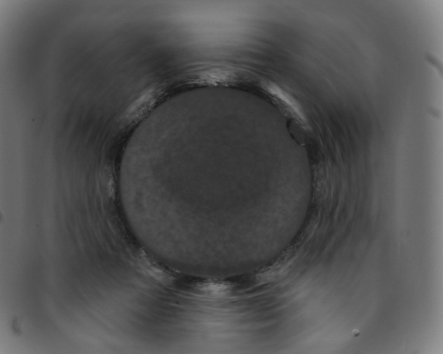 X0000095130313200801041253