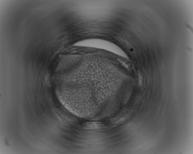 X0000095130316200801041253