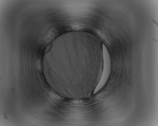 X0000095130317200801041253