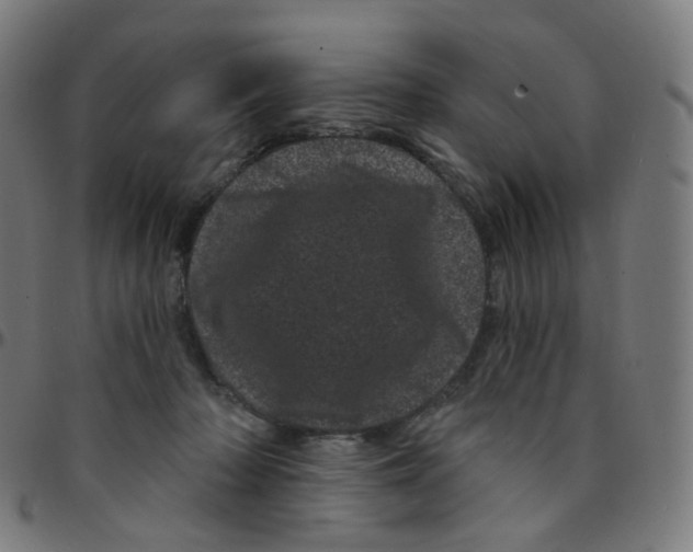 X0000095130318200801041253