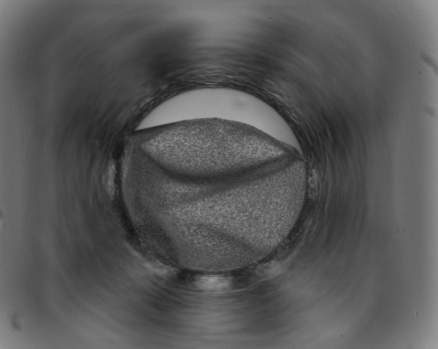 X0000095130319200801041253