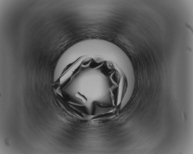 X0000095130320200801041253