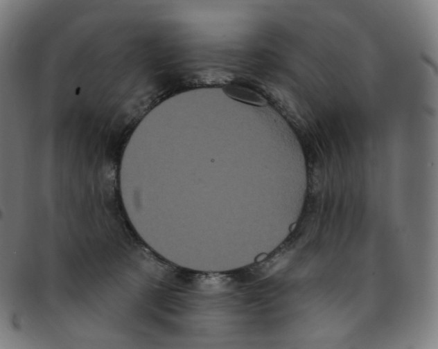 X0000095130321200801041253