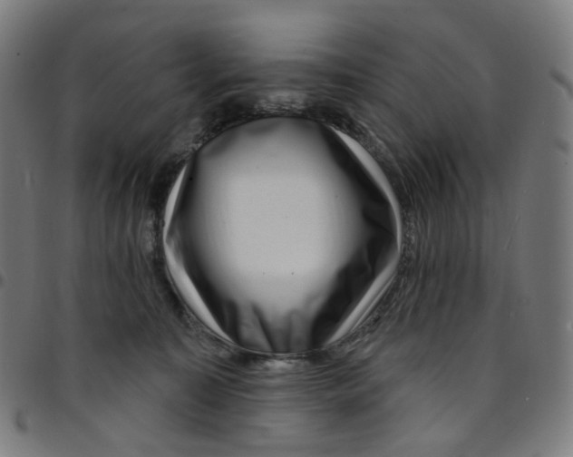 X0000095130323200801041253