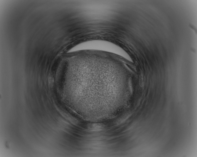 X0000095130324200801041253