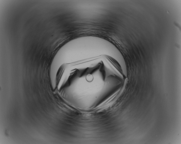 X0000095130325200801041253