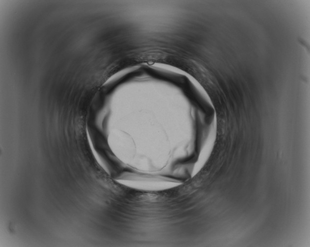 X0000095130326200801041253